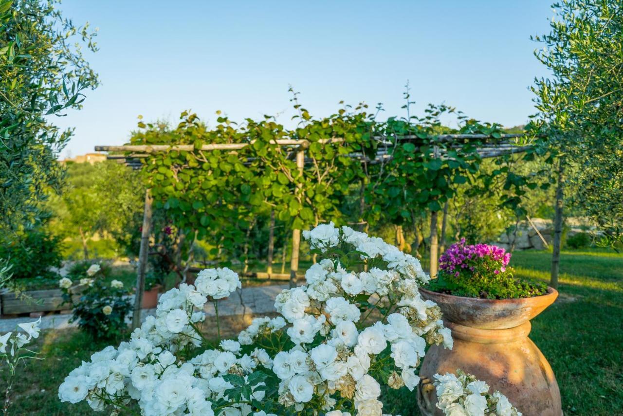 Agriturismo I Colli Montaione Kültér fotó