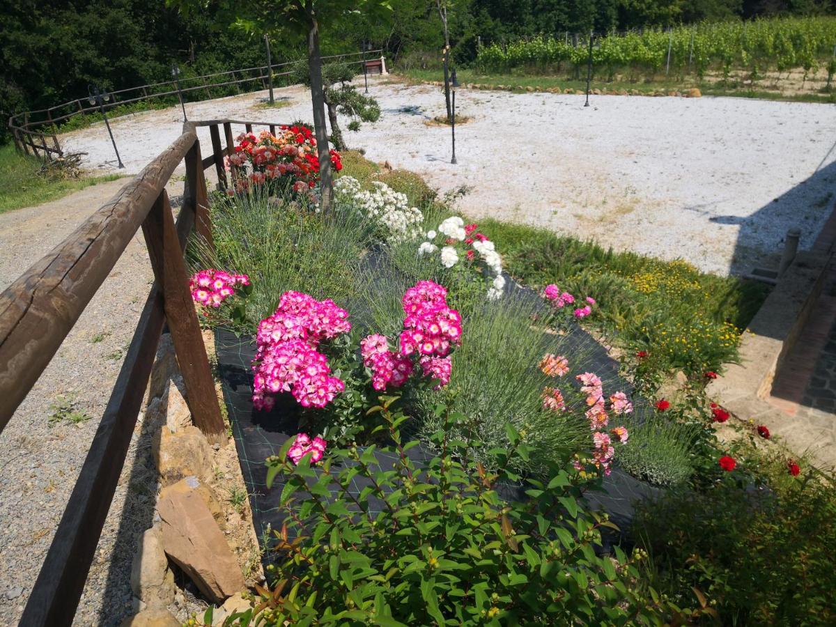 Agriturismo I Colli Montaione Kültér fotó