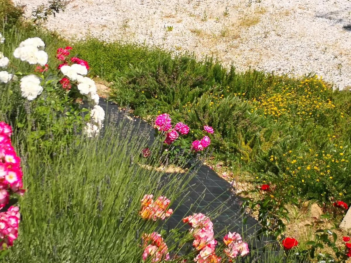 Agriturismo I Colli Montaione Kültér fotó