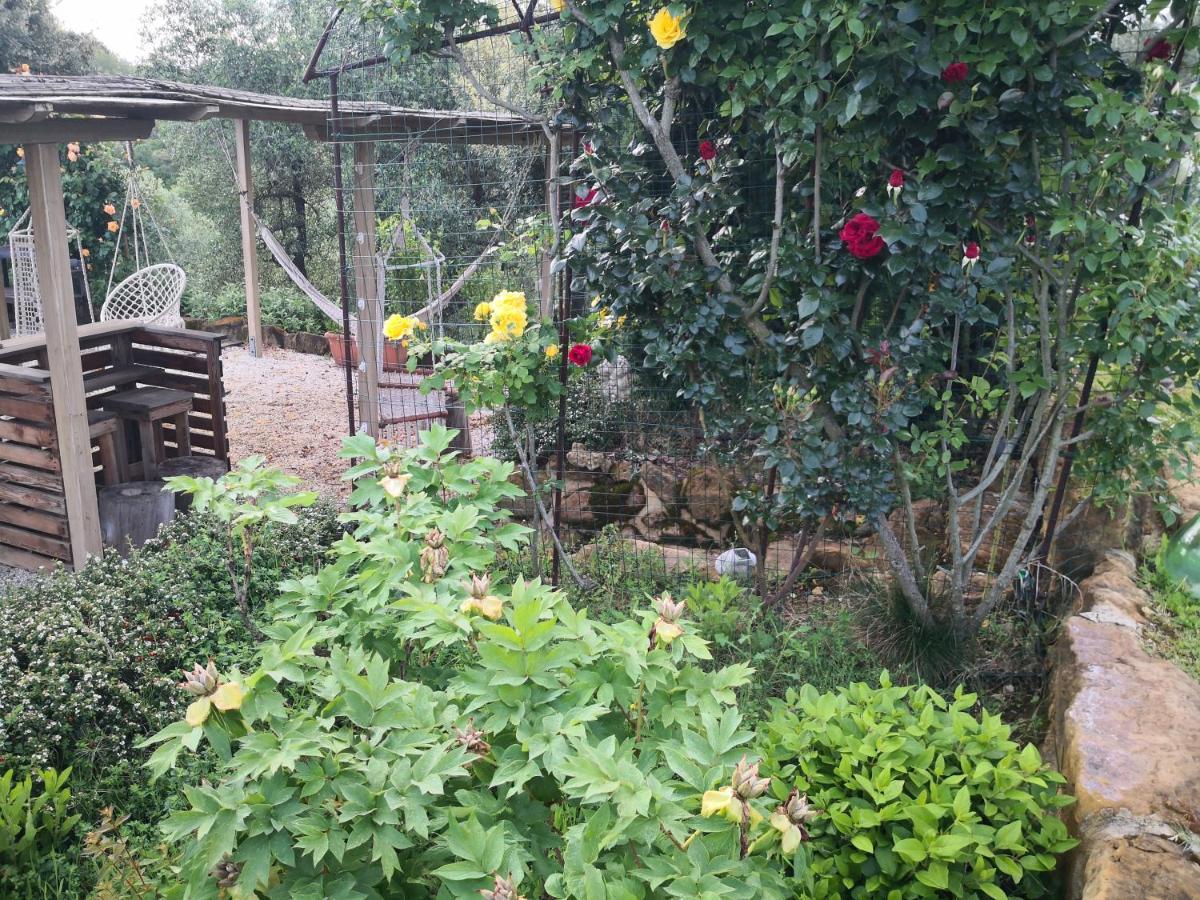 Agriturismo I Colli Montaione Kültér fotó